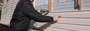 Best Custom Trim and Detailing for Siding  in Arapahoe, WY